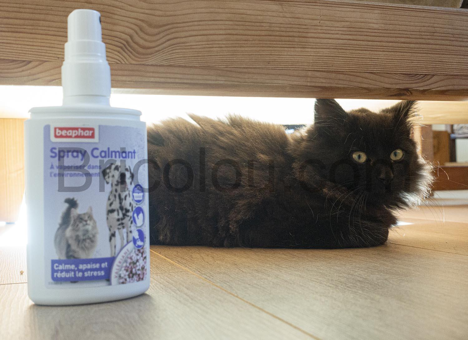 NO STRESS Spray calmant NO STRESS Spray calmant