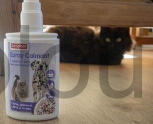 Spray calmant à la Valériane pour chats et chiens