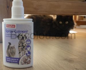 Spray calmant à la Valériane pour chats et chiens