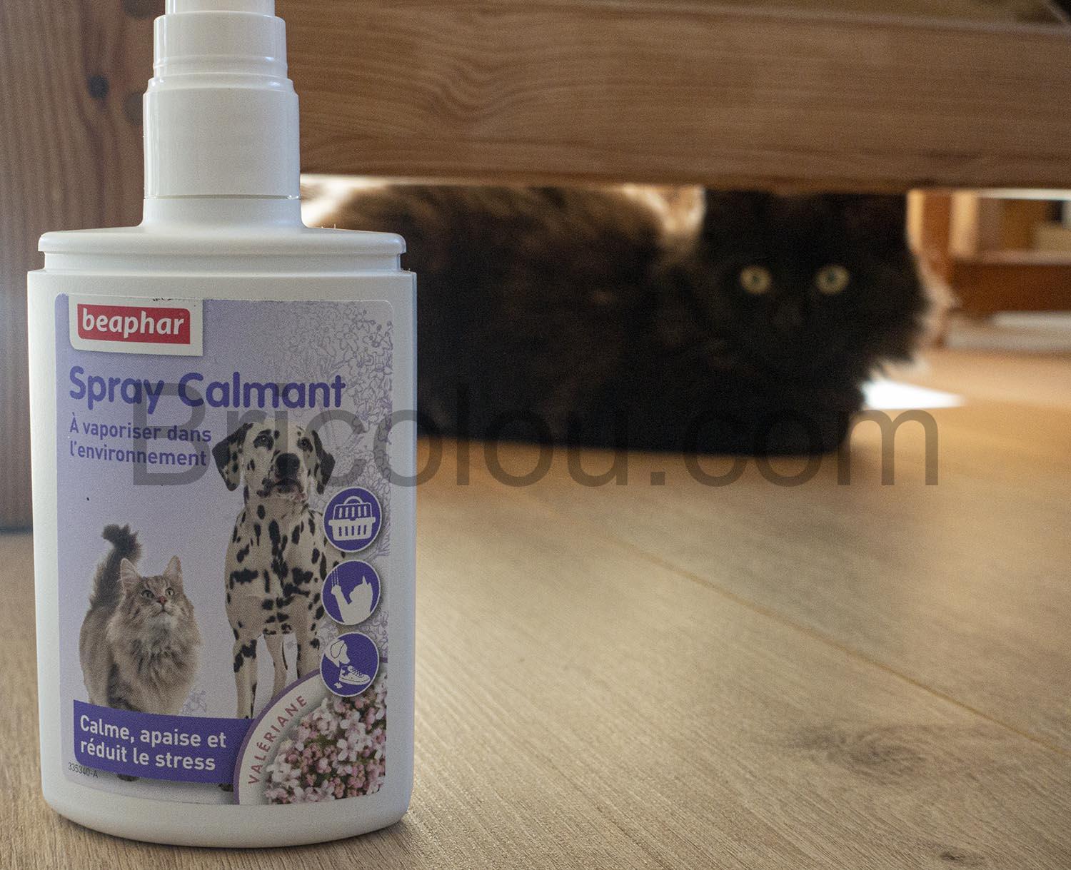 Spray calmant a la Valeriane pour chats et chiens Spray calmant à la Valériane pour chats et chiens