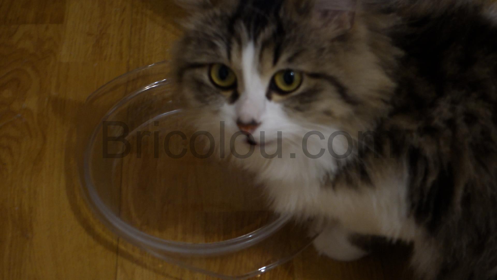 Honeyguaridan W25 Distributeur Fontaine eau Automatique USB detection infra rouge filtre .00 00 10 06.Still016 Honeyguaridan W25 Distributeur Fontaine eau Automatique USB détection infra-rouge filtre .00_00_10_06.Still016