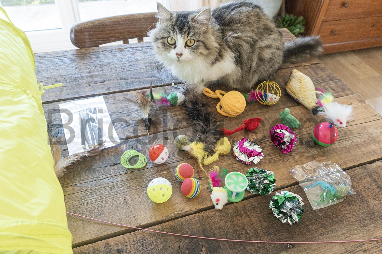 Paquet de 31 jouets accessoires pour chat et chaton Paquet de 31 jouets accessoires pour chat et chaton