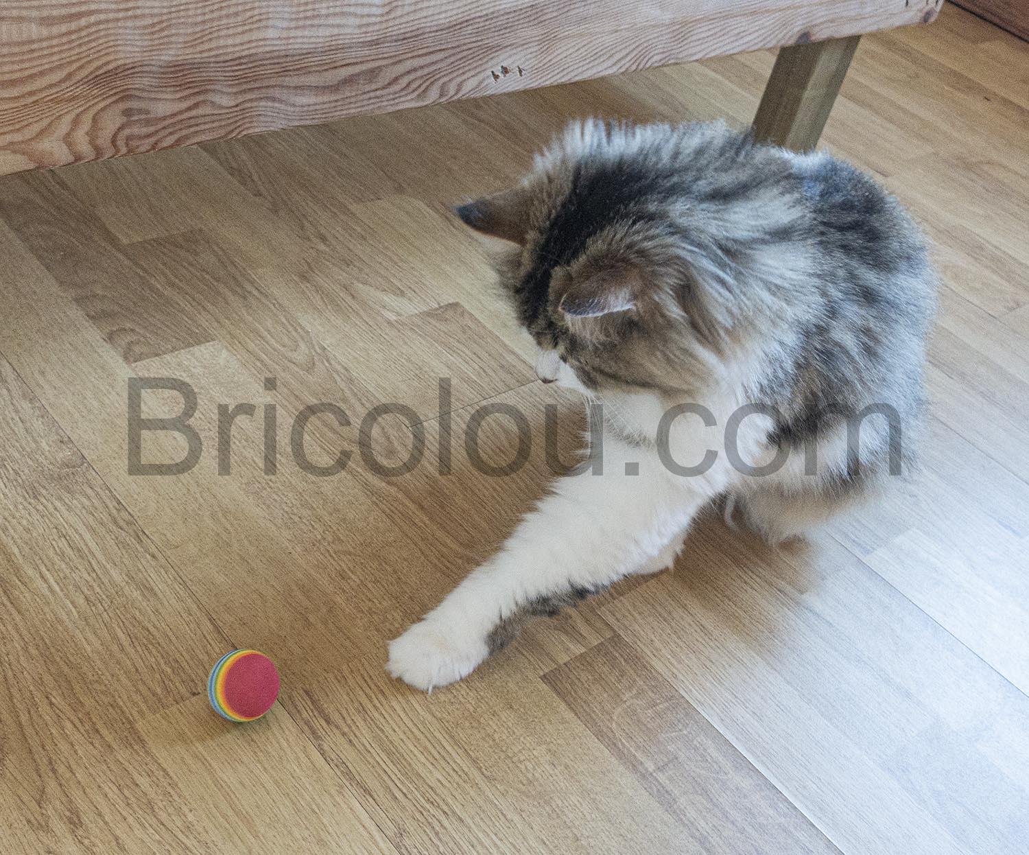 Paquet de 31 jouets et accessoireschaton Paquet de 31 jouets et accessoireschaton