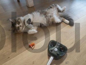 WARDBES Répulsif Epouvantail effaroucheur Chat Chien rat souris oiseaux ultrason LED
