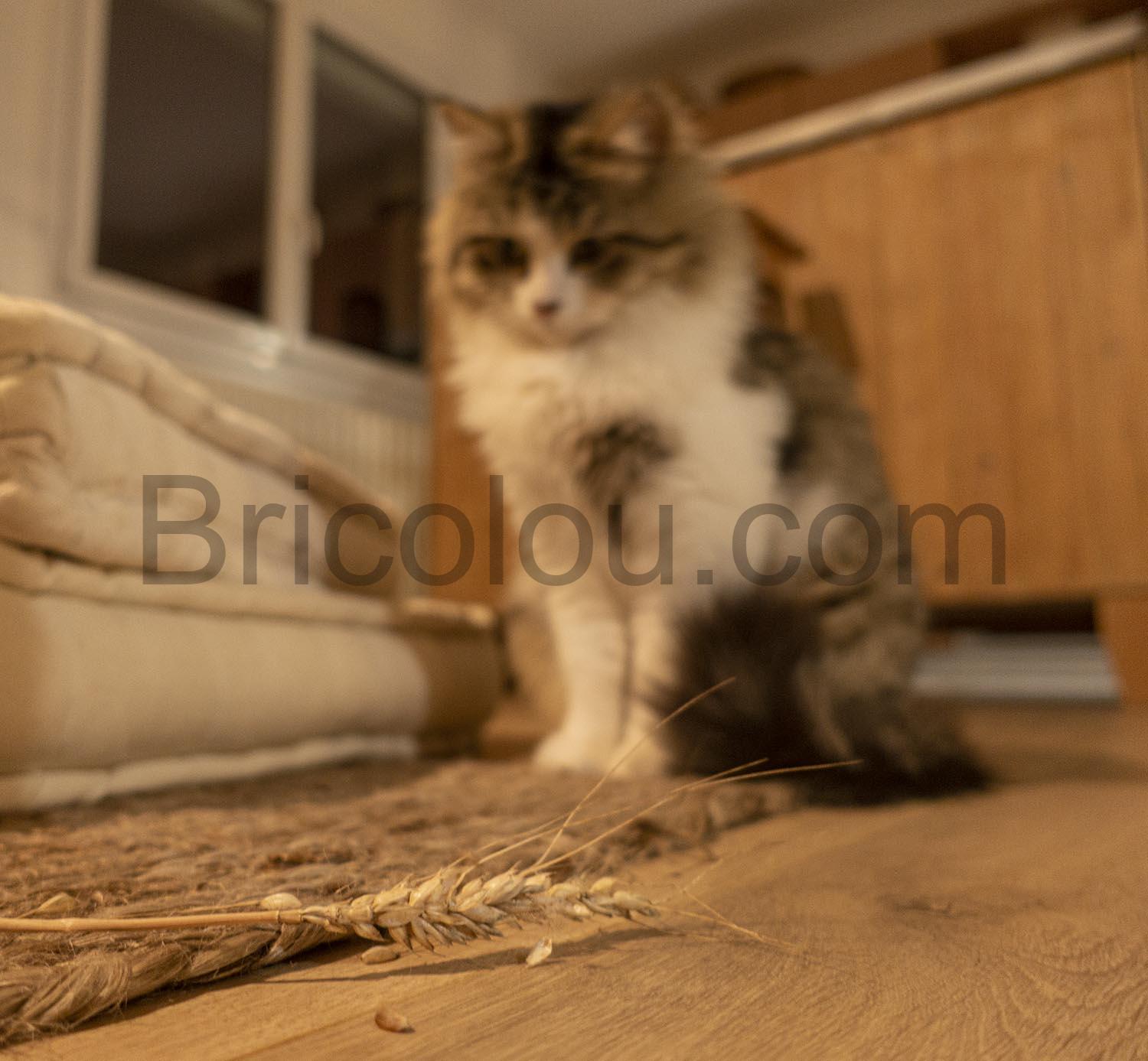 Vistefly VXB Aspirateur Balai Batterie Amovible Filtre HEPA Brosse Vistefly VXB Aspirateur Balai Batterie Amovible Filtre HEPA Brosse