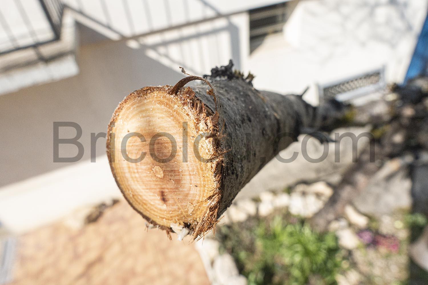 Allezard Mini Elagueur Electrique sans fil Chargeur Batterie Allezard Mini Elagueur Electrique sans fil Chargeur Batterie