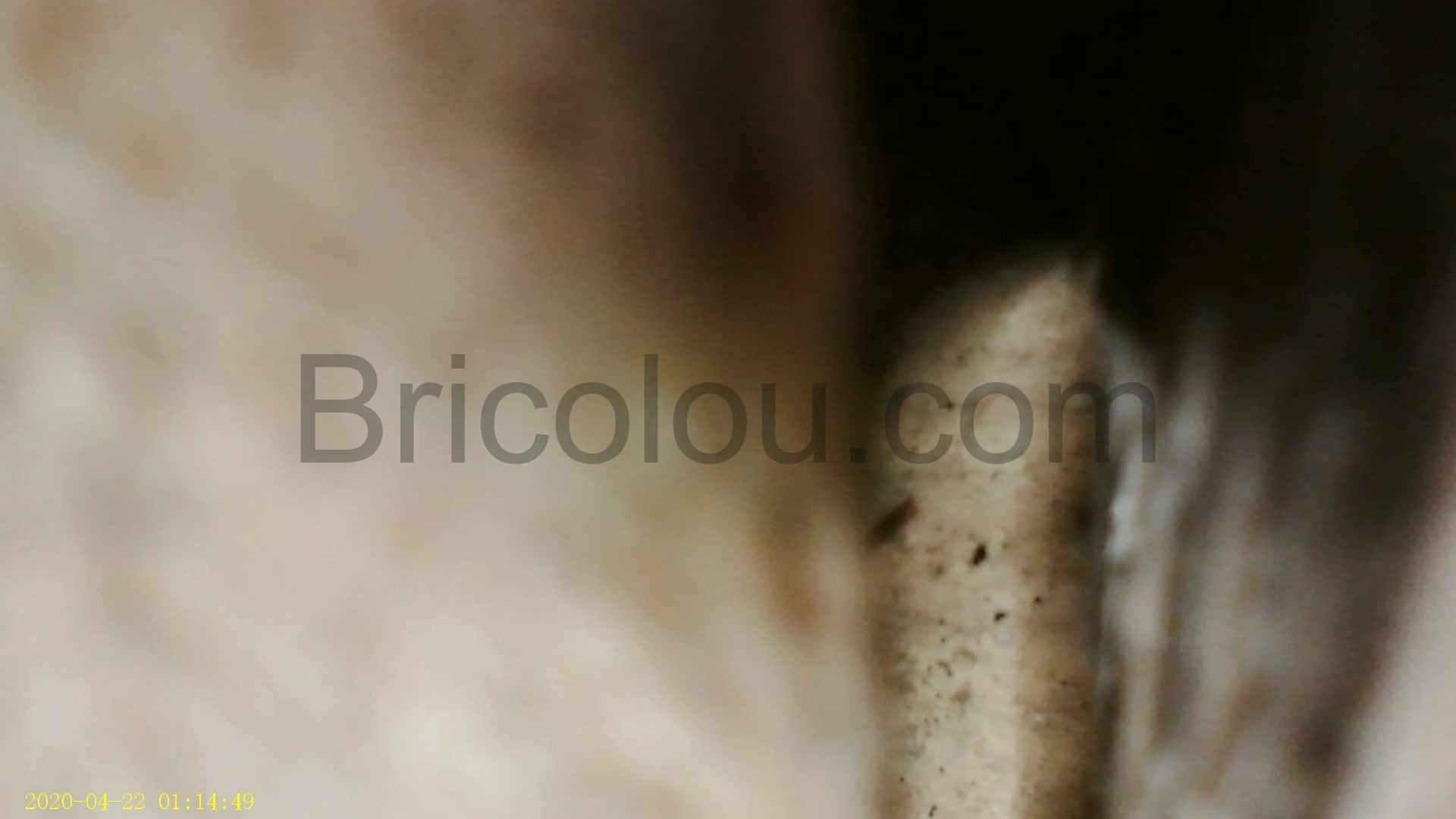 YINAMA 451DT Endoscope camera HD inspection Phot Video Tuyaux test YINAMA 451DT Endoscope caméra HD inspection Phot Vidéo Tuyaux test