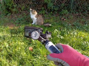 Zhiyun Crane M2S Stabilisateur Gimbal chat