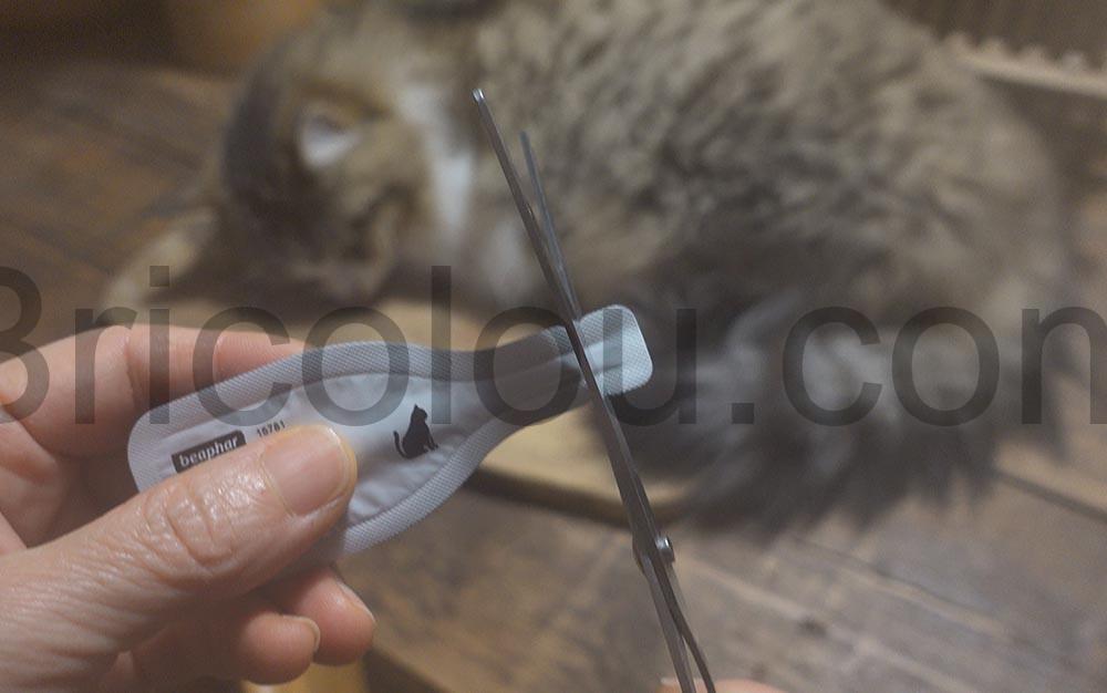 BEAPHAR FIPROTEC 50 mg Solution spot on Fipronil chat Traitement puces tique decoupe BEAPHAR FIPROTEC 50 mg Solution spot-on Fipronil chat Traitement puces tique découpe