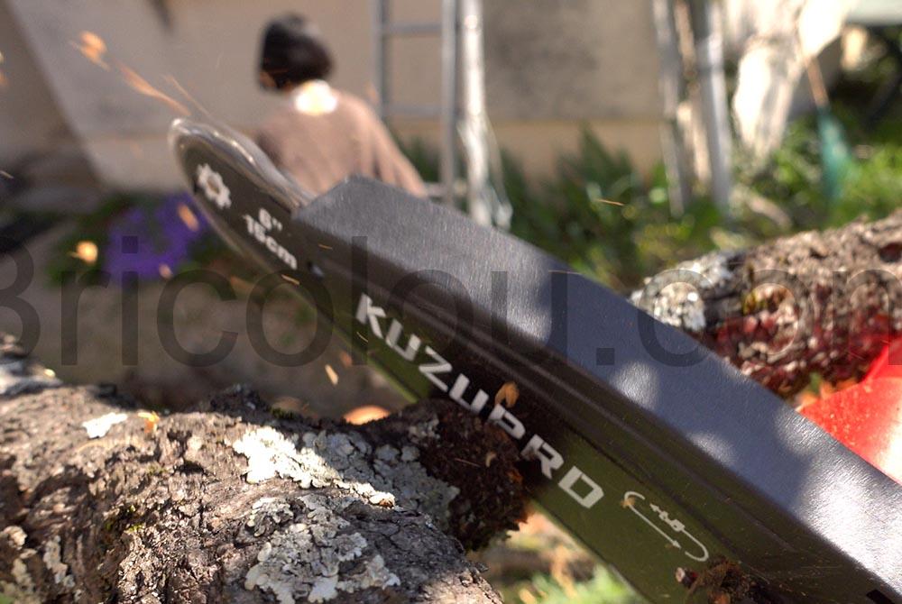 KUZUPRO Mini Tronconneuse elagueur Electrique Sans Fil Batterie gicle KUZUPRO Mini Tronçonneuse élagueur Électrique Sans Fil Batterie gicle
