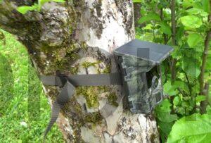 Caméra Chasse Solaire 4K WiFi Bluetooth Étanche LED Infrarouge Nocturne VOOPEAK arbre