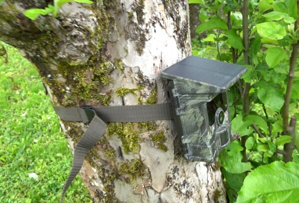 Caméra Chasse Solaire 4K WiFi Bluetooth Étanche LED Infrarouge Nocturne VOOPEAK arbre
