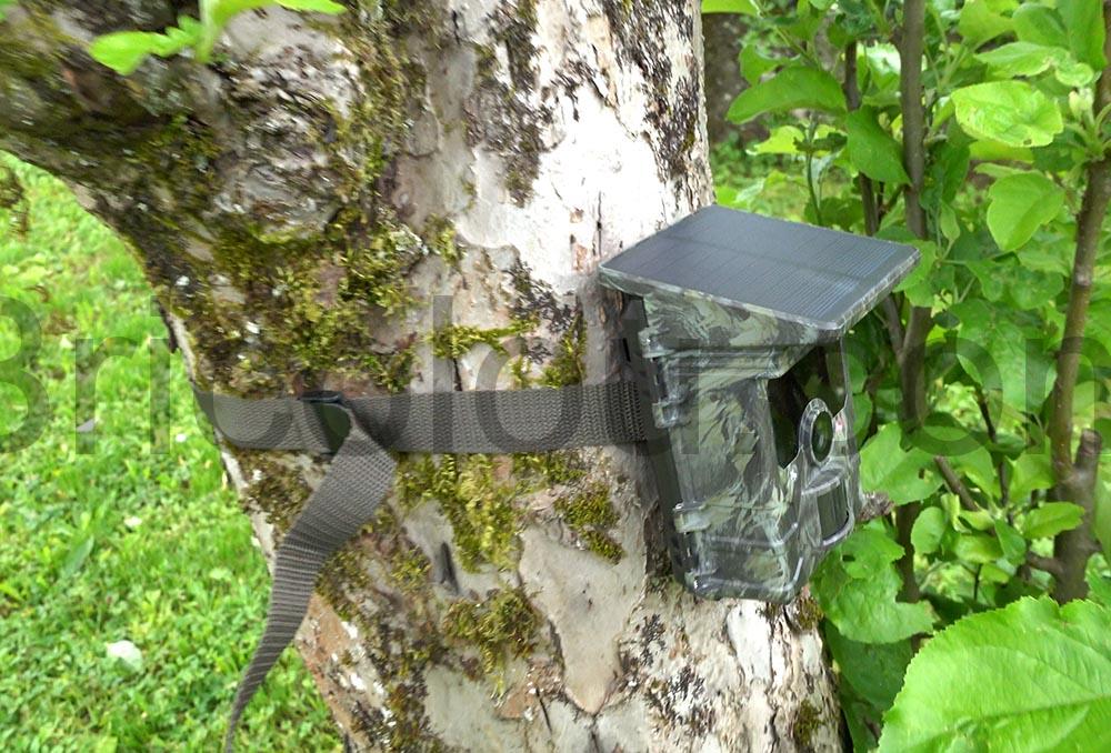 Camera Chasse Solaire 4K WiFi Bluetooth Etanche LED Infrarouge Nocturne VOOPEAK arbre Caméra Chasse Solaire 4K WiFi Bluetooth Étanche LED Infrarouge Nocturne VOOPEAK arbre