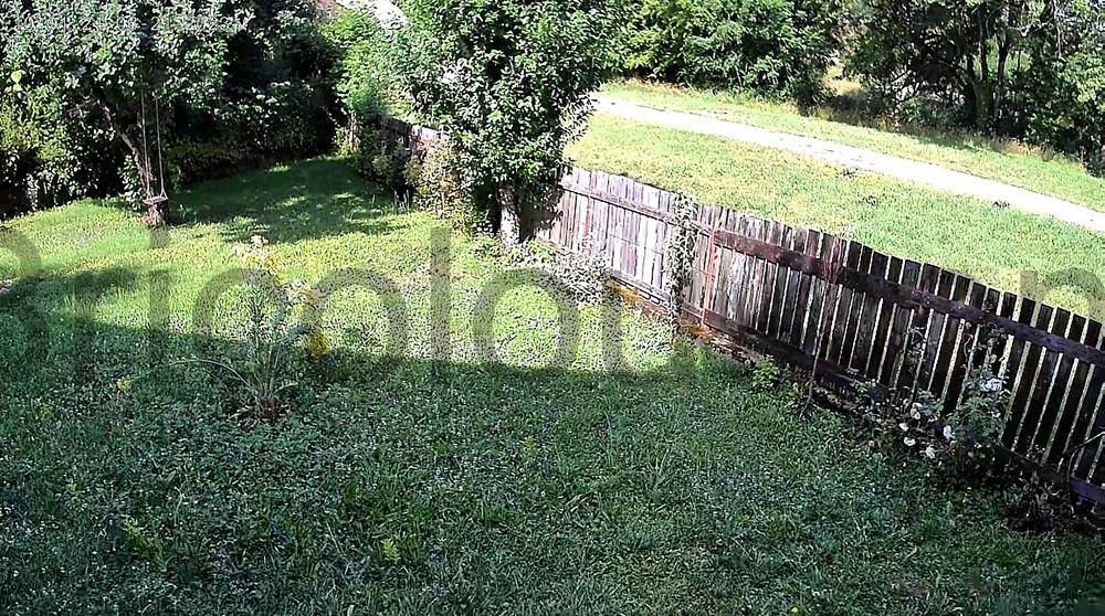 export image export image SZSinoCam