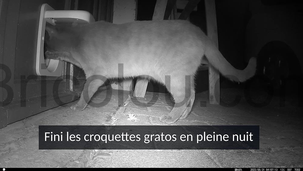 PetSafe Chatiere electronique Petporte croquettes PetSafe Chatière électronique Petporte croquettes