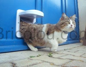PetSafe Chatière électronique Petporte sortie