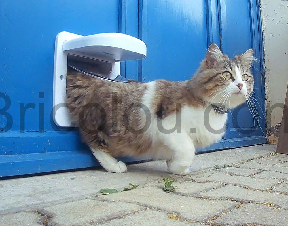 PetSafe Chatiere electronique Petporte sortie PetSafe Chatière électronique Petporte sortie