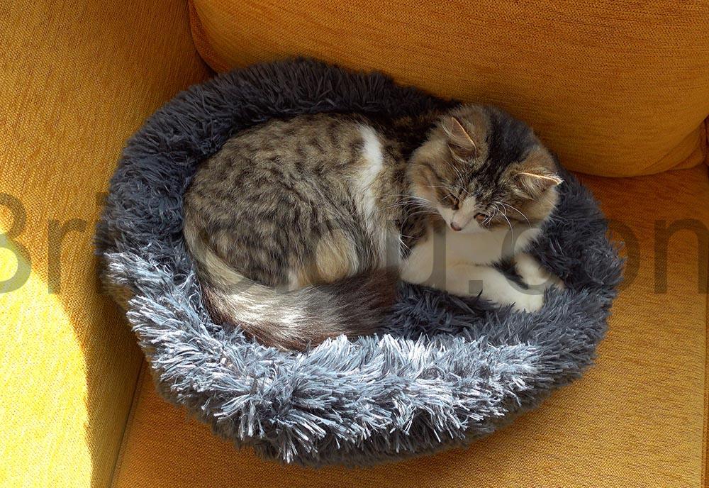Coussin chat panier MEYDLL Lit Moelleux boule Coussin chat panier MEYDLL Lit Moelleux boule