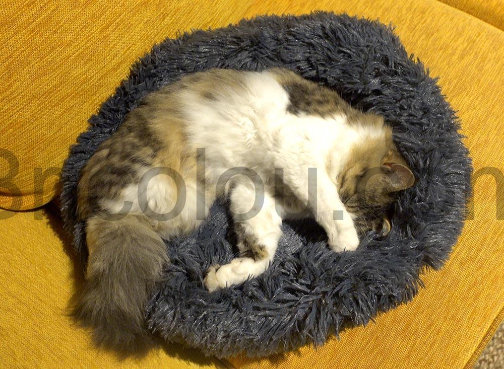 Coussin chat panier MEYDLL Lit Moelleux dormir Coussin chat panier MEYDLL Lit Moelleux dormir