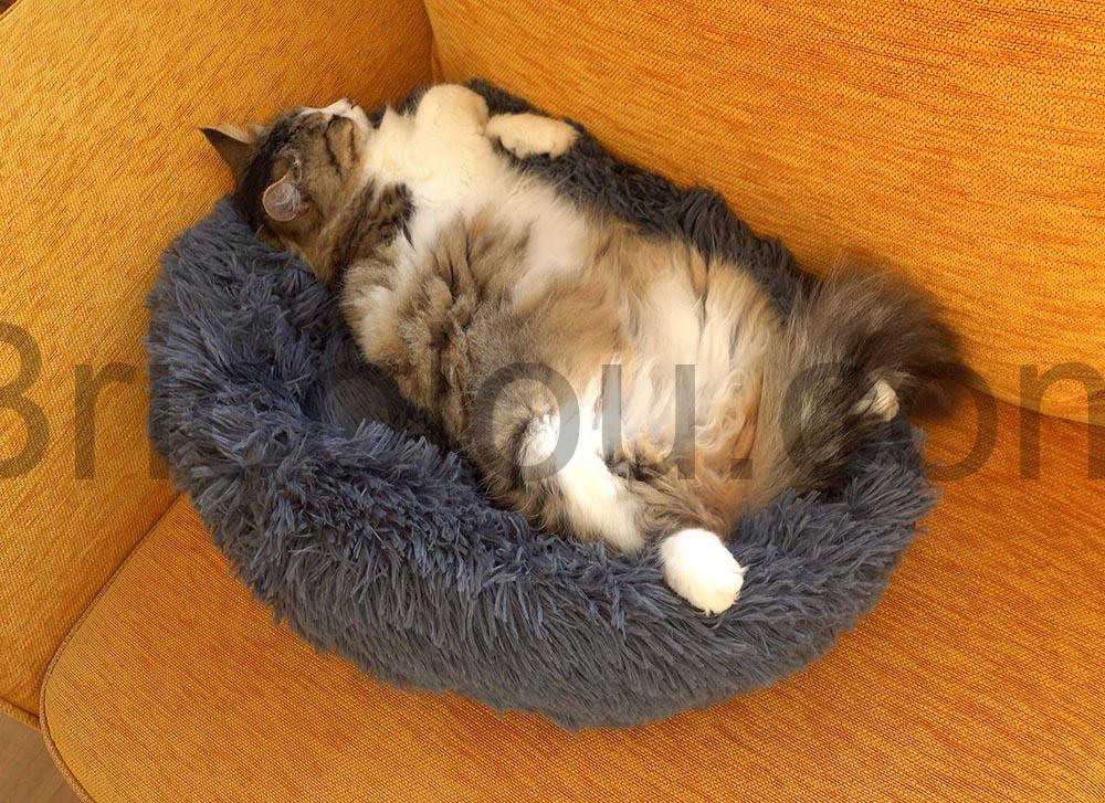 Coussin chat panier MEYDLL Lit Moelleux dos Coussin chat panier MEYDLL Lit Moelleux dos