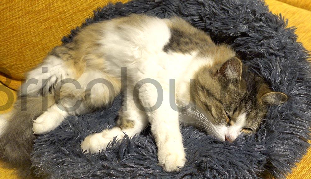 Coussin chat panier MEYDLL Lit Moelleux endormi Coussin chat panier MEYDLL Lit Moelleux endormi
