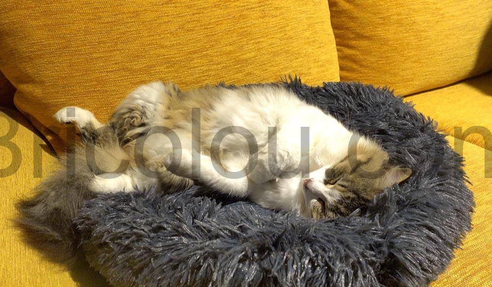 Coussin chat panier MEYDLL Lit Moelleux ronronner Coussin chat panier MEYDLL Lit Moelleux ronronner