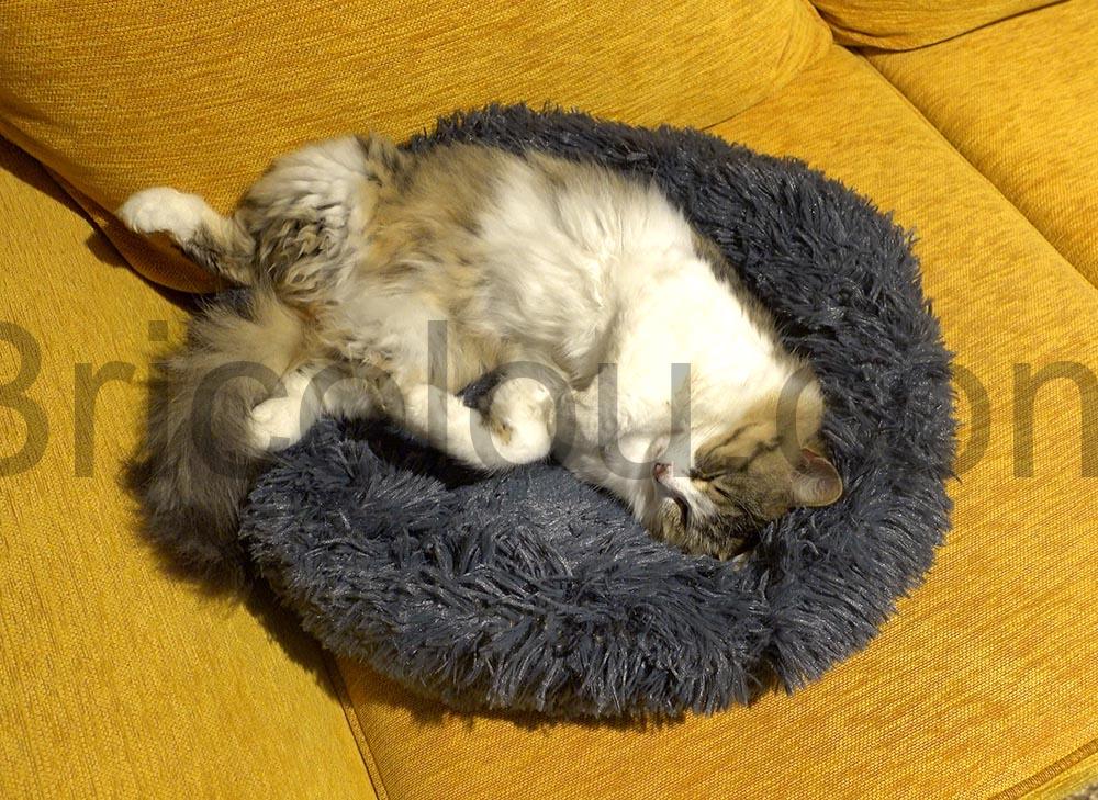 chat chat
