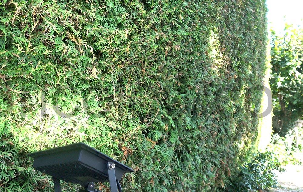 Projecteur LED detection mouvement exterieur puissant Projecteur LED détection mouvement extérieur puissant