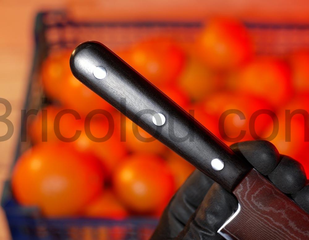 AIRENA Couteau Cuisine Professionnel Lame tranchante en acier Damas manche AIRENA Couteau Cuisine Professionnel Lame tranchante en acier Damas manche