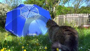 BelleMax Parasol Plage sable Bleu 200 cm jardin