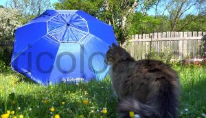 BelleMax Parasol Plage sable Bleu 200 cm jardin