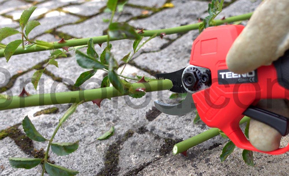 TEENO Secateur Electrique Sans Fil CD601 coupe franche TEENO Sécateur Électrique Sans Fil CD601 coupe franche