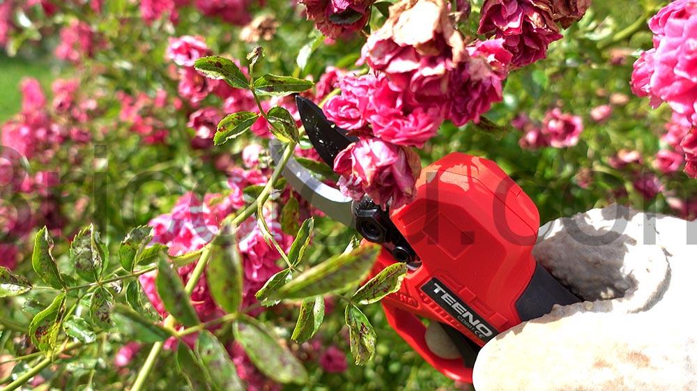 TEENO Secateur Electrique Sans Fil CD601 rose TEENO Sécateur Électrique Sans Fil CD601 rose