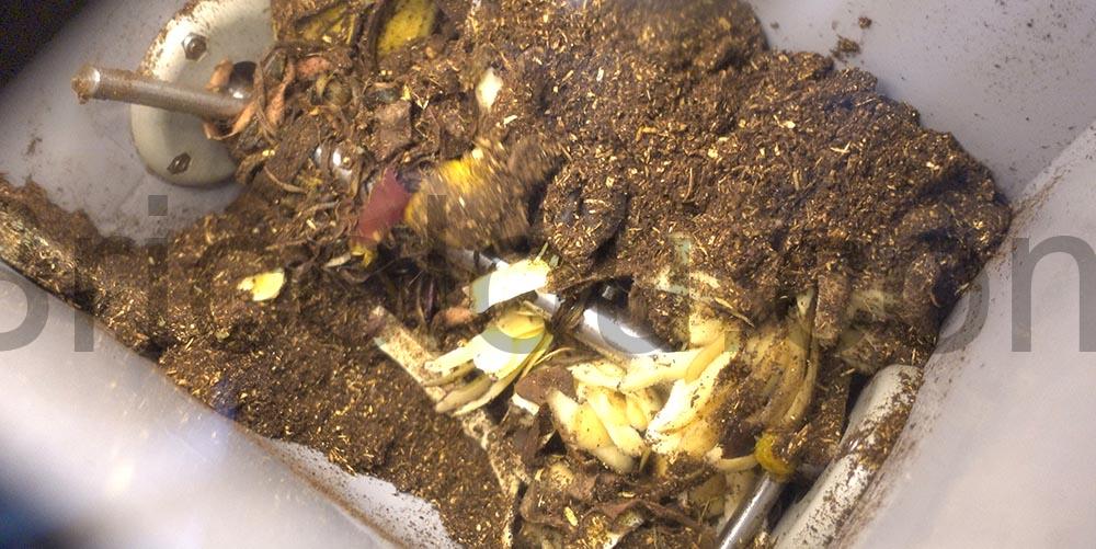 GEME Composteur Electrique dechets 19L Biotechnologie bio GEME Composteur Électrique déchets 19L Biotechnologie bio