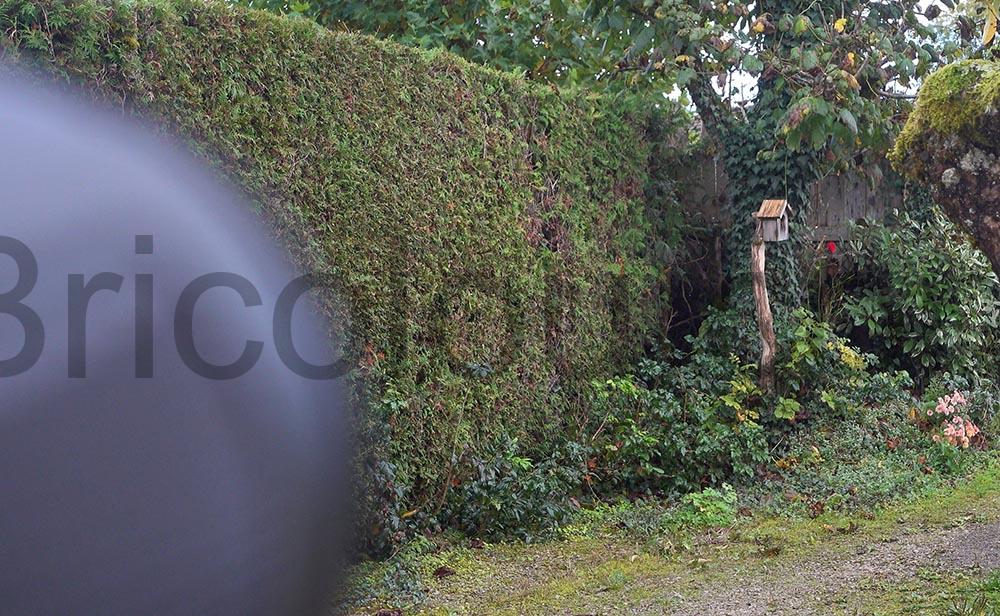 25X60 Jumelles optique Compact Antibuee Etanche binoculaire grossissement 25X60 Jumelles optique Compact Antibuée Etanche binoculaire grossissement