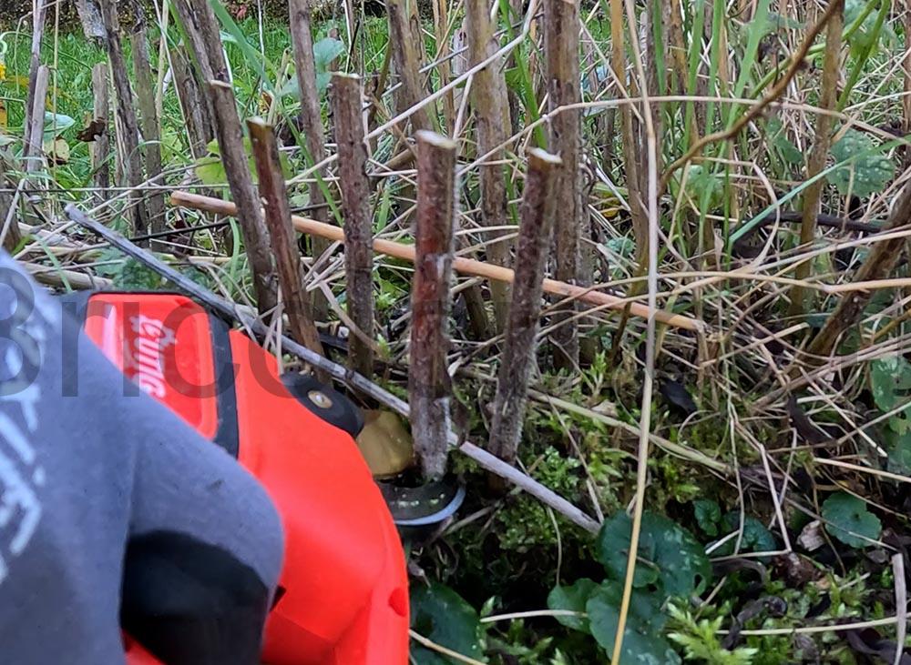 OUTIGO Secateur Electrique Sans fil YL 42 KF2 branche OUTIGO Sécateur Électrique Sans fil YL-42 KF2 branche