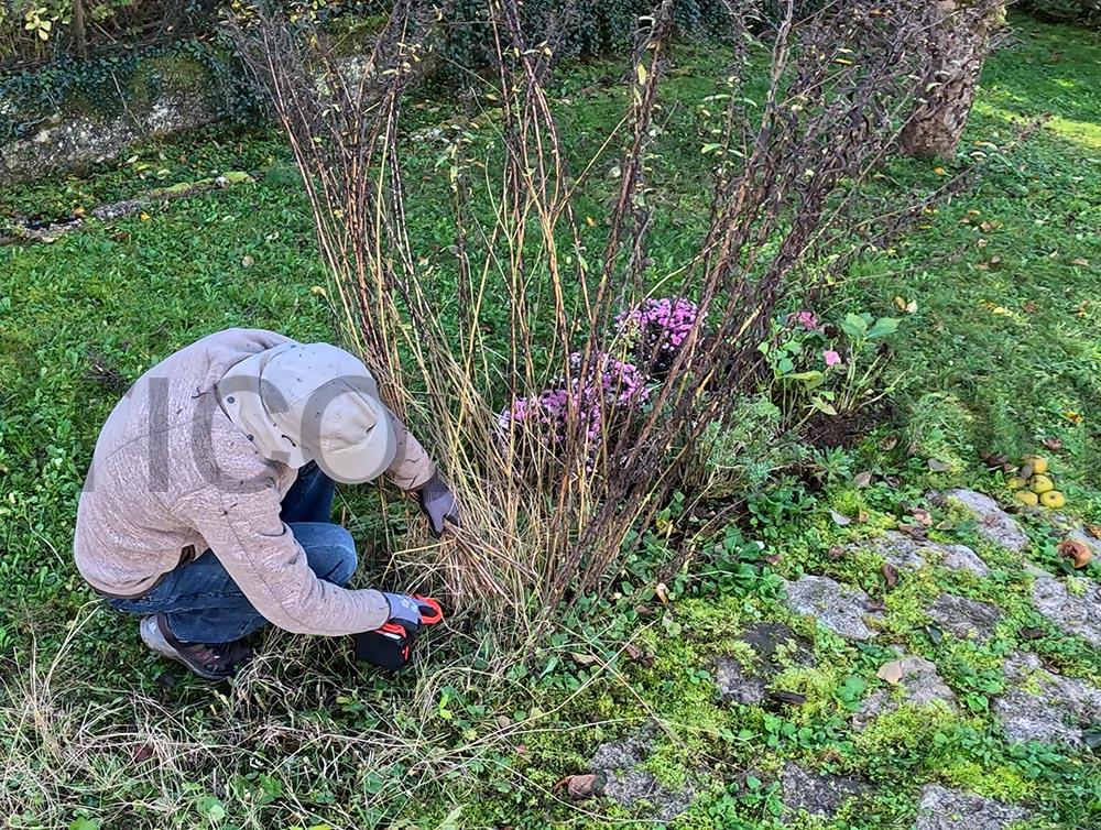 OUTIGO Secateur Electrique Sans fil YL 42 KF2 taille OUTIGO Sécateur Électrique Sans fil YL-42 KF2 taille