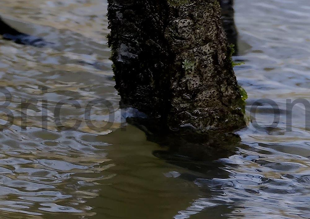 ORDRO G730 camera Appareil Photo 5K Zoom Optique 12x Macro compression Skip to main contentSkip to toolbar About WordPress Bricolou Live 11 update available 00 Comments in moderation New Rank Math SEO Clear Cache 🧽 HackGuardian Autoptimize WPForms Howdy, videoproductionservi Screen OptionsHelp Add new product Autoptimize: Your ShortPixel image optimization and CDN quota has been exhausted, add more credits to continue to quickly deliver optimized images on your website or consider using Autoptimize Pro which comes with (nearly) unlimited image optimization but also automated critical CSS and extra booster options. If you have enough CDN quota remaining, then you may need to associate your domain to your Shortpixel account. (based on previously fetched data, you can click here to refresh your quota status). Dismiss this notice. Product name ORDRO G730 caméra Appareil Photo 5K Zoom Optique 12x Macro Skip to Editor Permalink: https://bricolou.com/review/ordro-g730-camera-appareil-photo-5k-zoom-optique-12x-macro/ Edit Product description Add Media Add Form VisualText Paragraph Word count: 0 Draft saved at 7:27:17 am. Move upMove downToggle panel: Publish Preview(opens in a new tab) Status: Draft EditEdit status Visibility: Public EditEdit visibility Publish immediately EditEdit date and time Catalog visibility: Shop and search results Edit Lock Modified Date SEO: 6 / 100 Copy to a new draft Move to Trash Move upMove downToggle panel: Content AI Move upMove downToggle panel: Product categories All categories Most Used Uncategorized Animaux Automobile Bricolage Outillage Plomberie Cuisine Informatique Jardin maison photography Vélo Voyage + Add new category Move upMove downToggle panel: Product tags Add new tag Separate tags with commas Choose from the most used tags Move upMove downToggle panel: Link Suggestions We can't show any link suggestions for this post. Try selecting categories and tags for this post, and mark other posts as Pillar Content to make them show up here. Move upMove downToggle panel: Product image Set product image Move upMove downToggle panel: Product gallery Add product gallery images Move upMove downToggle panel: Product short description Add Media Add FormVisualText Paragraph Move upMove downToggle panel: Product data General Inventory Shipping Linked Products Attributes Advanced Regular price (€) Sale price (€) Schedule Move upMove downToggle panel: Rank Math SEO General Advanced Schema Social https://bricolou.com/review/ordro-g730-camera-appareil-photo-5k-zoom-opt... ORDRO G730 caméra Appareil Photo 5K Zoom Optique 12x Macro Edit Snippet Focus KeywordInsert keywords you want to rank for. Try to attain 100/100 points for better chances of ranking. 6 / 100 Warning notice Want more? Upgrade today to the PRO version. This post is Pillar Content Basic SEO 6 Errors Add Focus Keyword to the SEO title. Add Focus Keyword to your SEO Meta Description. Use Focus Keyword in the URL. Use Focus Keyword at the beginning of your content. Use Focus Keyword in the content. Content should be 600-2500 words long. Additional 8 Errors Title Readability 3 Errors Content Readability 3 Errors Thank you for using Rank MathVersion 6.7.1 NotificationsWant more? Upgrade today to the PRO version. Close dialog Add images to product gallery Upload filesMedia Library Filter mediaFilter by type All media items Filter by date All dates Search media Media list Showing 95 of 7224 media items Load more Attachment Details ORDRO-G730-camera-Appareil-Photo-5K-Zoom-Optique-12x-Macro-compression.jpg January 11, 2025 132 KB 1000 by 706 pixels Edit Image Delete permanently Alt Text Generate Alt Learn how to describe the purpose of the image(opens in a new tab). Leave empty if the image is purely decorative.Title ORDRO G730 caméra Appareil Photo 5K Zoom Optique 12x Macro compression Caption Description File URL: https://bricolou.com/wp-content/uploads/2025/01/ORDRO-G730-camera-Appareil-Photo-5K-Zoom-Optique-12x-Macro-compression.jpg Copy URL to clipboard Required fields are marked * Exclude this attachment from sitemap Selected media actionsAdd to gallery No file chosen