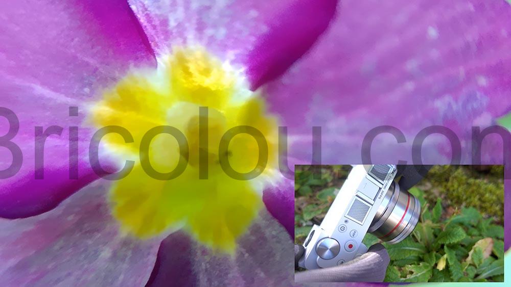 ORDRO G730 camera Appareil Photo 5K Zoom Optique 12x Macro fleur ORDRO G730 caméra Appareil Photo 5K Zoom Optique 12x Macro fleur