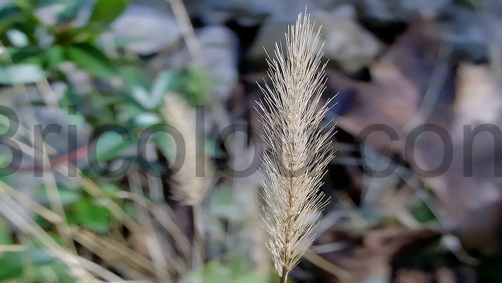 ORDRO G730 camera Appareil Photo 5K Zoom Optique 12x Macro focus ORDRO G730 caméra Appareil Photo 5K Zoom Optique 12x Macro focus