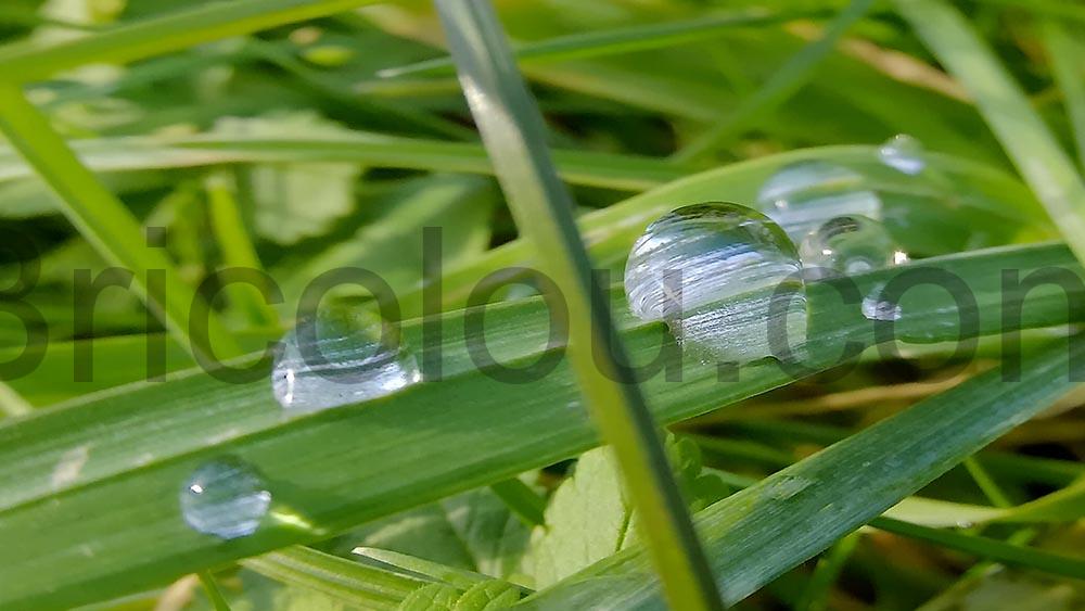 ORDRO G730 camera Appareil Photo 5K Zoom Optique 12x Macro goutte ORDRO G730 caméra Appareil Photo 5K Zoom Optique 12x Macro goutte