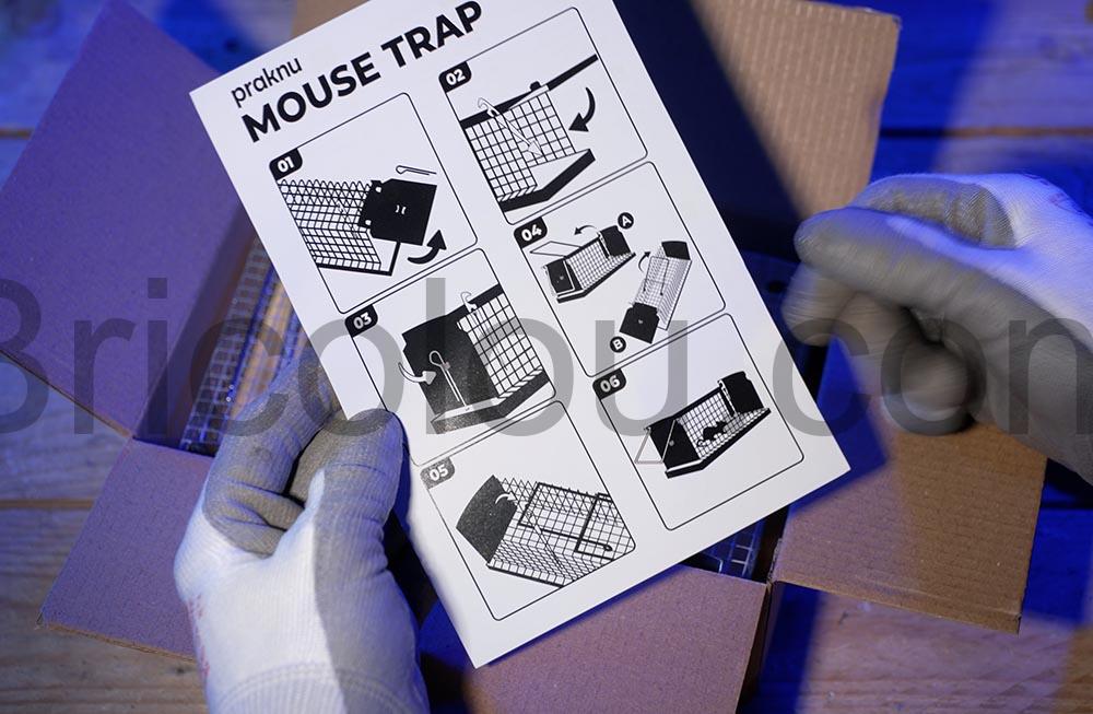 Comment se debarrasser dune souris sans la tuer bois Comment se débarrasser d'une souris sans la tuer bois