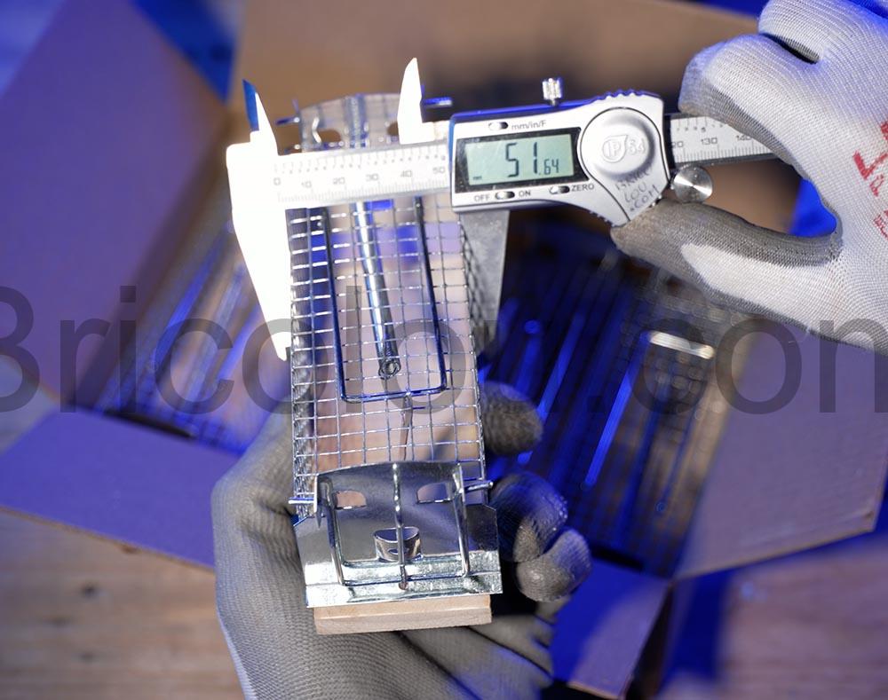 Comment se debarrasser dune souris sans la tuer eppaisseur Comment se débarrasser d'une souris sans la tuer eppaisseur