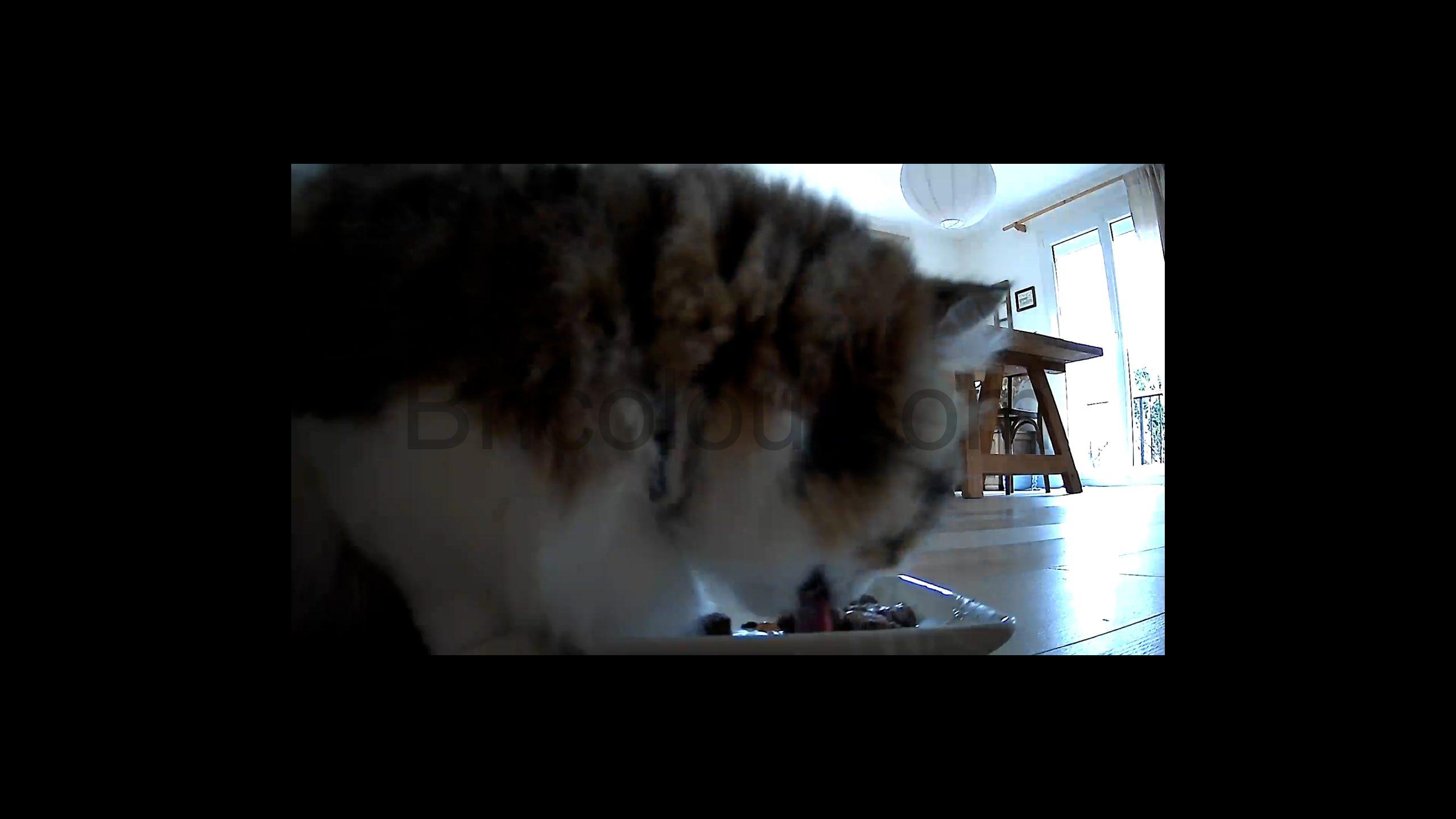 camera surveillance sur Batterie Wi Fi 2K Beenozo.00 28 12 24.Still064 scaled caméra surveillance sur Batterie Wi-Fi 2K Beenozo.00_28_12_24.Still064