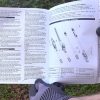 Découverte 2-en-1 Élagueuse sur Perche et Taille Haie Télescopique sans Fil TEENO documentation