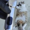 Kit 2 Tondeuses Chiens chat FuzzyFix compare