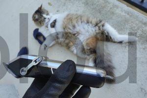 Kit 2 Tondeuses Chiens chat FuzzyFix coté