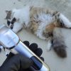 Kit 2 Tondeuses Chiens chat FuzzyFix dessus