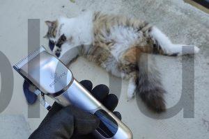 Kit 2 Tondeuses Chiens chat FuzzyFix dessus