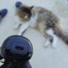 Kit 2 Tondeuses Chiens chat FuzzyFix usb-c